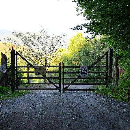Eko Pony Ranch Ogrizek Daire Podčetrtek Dış mekan fotoğraf