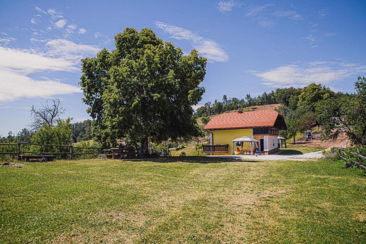 Eko Pony Ranch Ogrizek Daire Podčetrtek Dış mekan fotoğraf