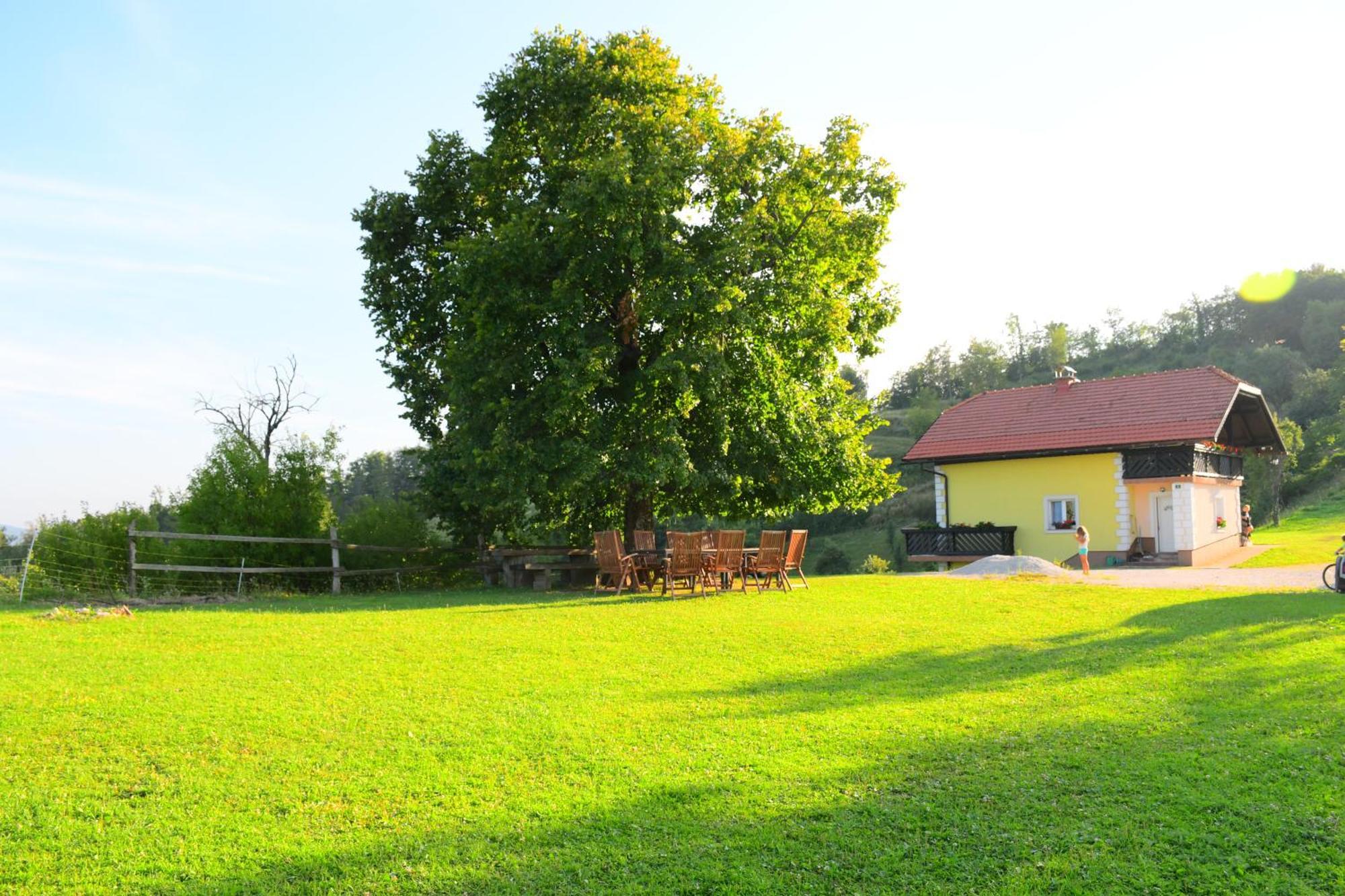 Eko Pony Ranch Ogrizek Daire Podčetrtek Dış mekan fotoğraf