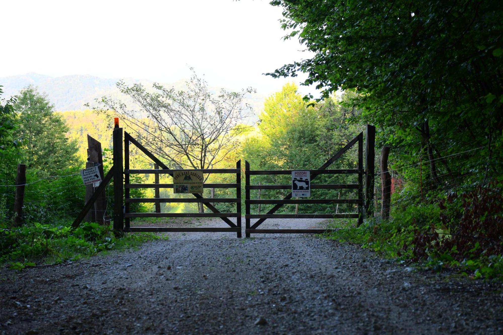 Eko Pony Ranch Ogrizek Daire Podčetrtek Dış mekan fotoğraf