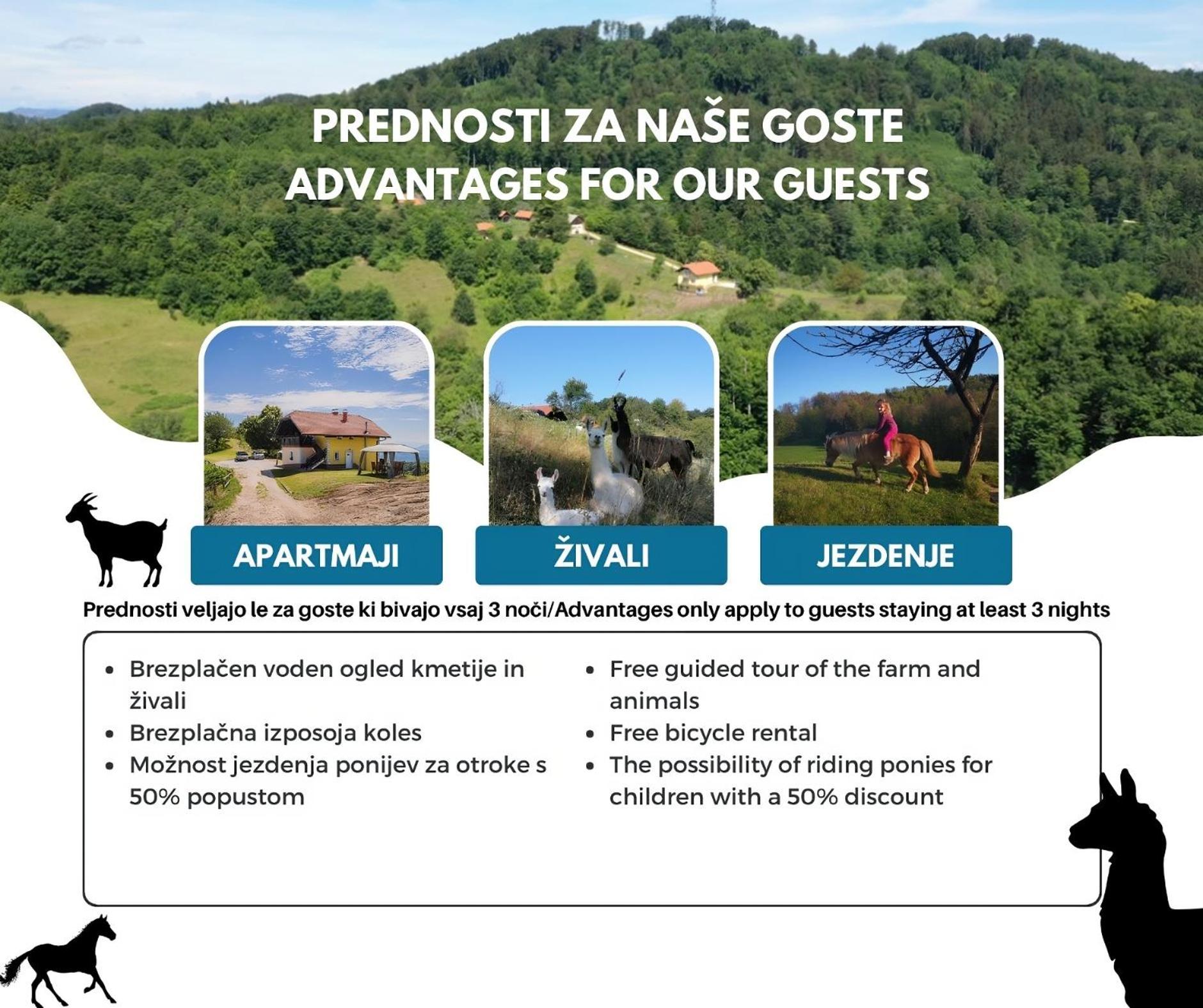 Eko Pony Ranch Ogrizek Daire Podčetrtek Dış mekan fotoğraf